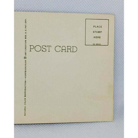 Gulf Stream Card Cockatoos At Hialeah Park Florida Miami Bird Postcard Animal - Picture 6 of 12